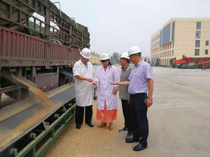截止8月24日,连汽和茂粮食仓储公司收购托市小麦46625.