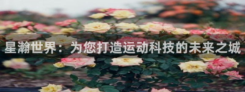 意昂体育3娱乐