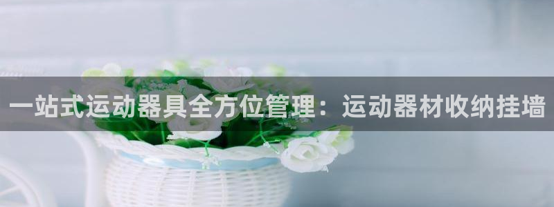 意昂体育3招商
