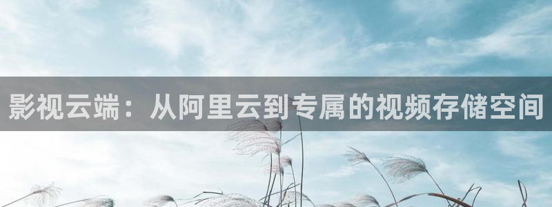 神秘影院青苹果：影视云端：从阿里云到专属的视频存储空间