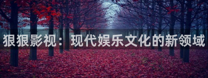 神秘博士高清免费观看：狠狠影视：现代娱乐文化的新领域