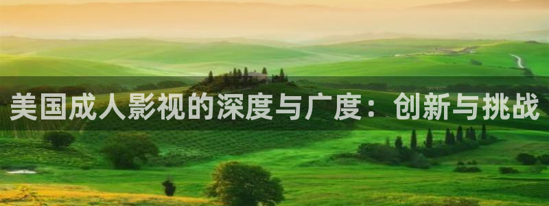神秘电影影院：美国成人影视的深度与广度：创新与挑战
