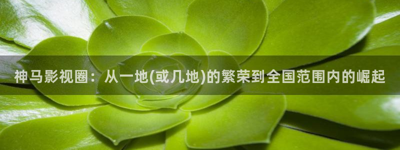 国产神秘影院：神马影视圈：从一地(或几地)的繁荣到全国范围内的崛起