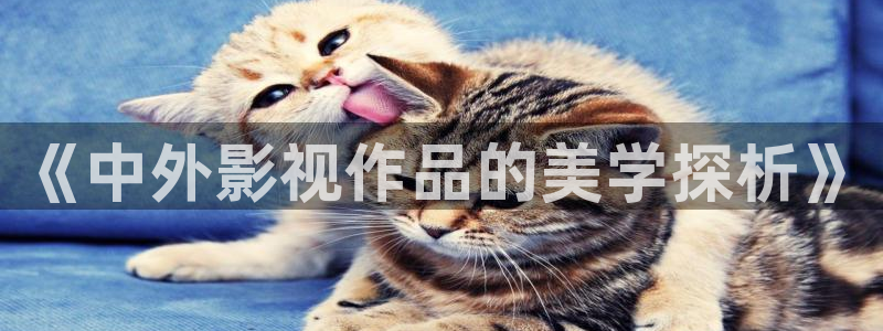 国产神秘影院：《中外影视作品的美学探析》