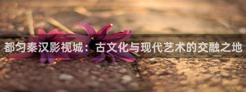 欧美神秘影院：都匀秦汉影视城：古文化与现代艺术的交融之地
