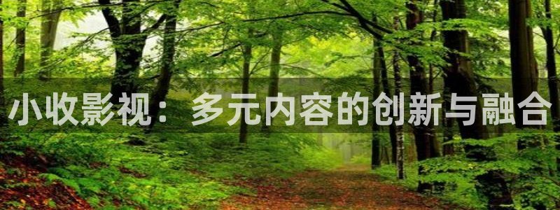 神秘影院青苹果：小收影视：多元内容的创新与融合