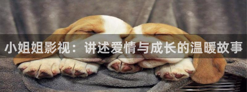 神秘博士高清免费观看：小姐姐影视：讲述爱情与成长的温暖故事