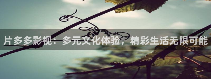 国产神秘影院：片多多影视：多元文化体验，精彩生活无限可能