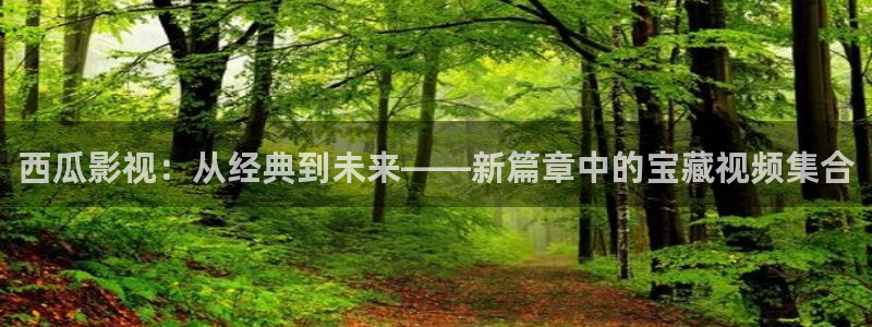 神秘博士高清免费观看：西瓜影视：从经典到未来——新篇章中的宝藏视频集合