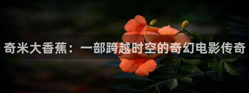 yy神秘影院：奇米大香蕉：一部跨越时空的奇幻电影传奇