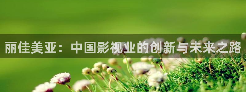 神秘影院青苹果：丽佳美亚：中国影视业的创新与未来之路