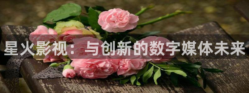 神秘影院青苹果：星火影视：与创新的数字媒体未来
