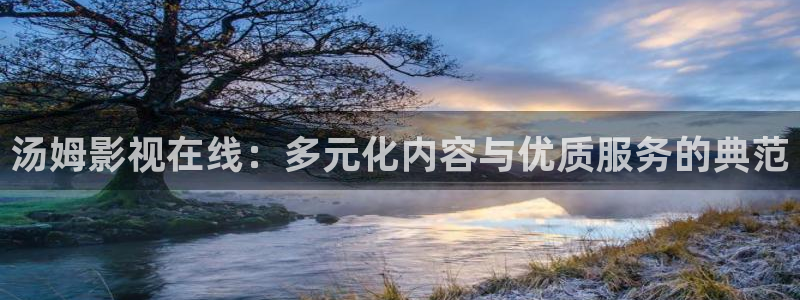 欧美神秘影院：汤姆影视在线：多元化内容与优质服务的典范