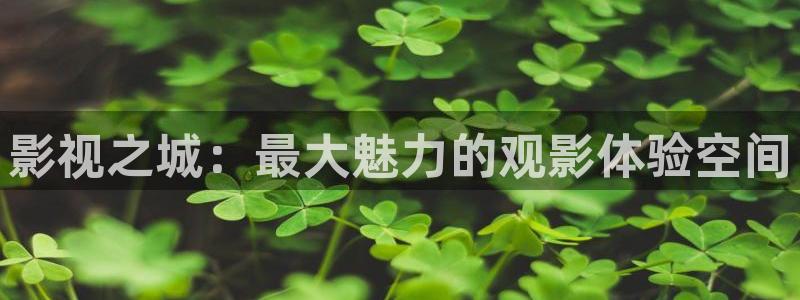 神秘电影影院：影视之城：最大魅力的观影体验空间
