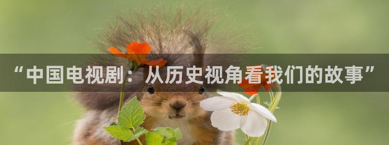 国产神秘影院：“中国电视剧：从历史视角看我们的故事”