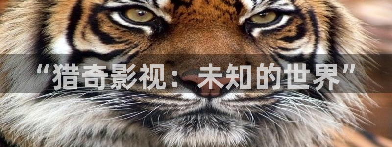 欧美神秘影院：“猎奇影视：未知的世界”