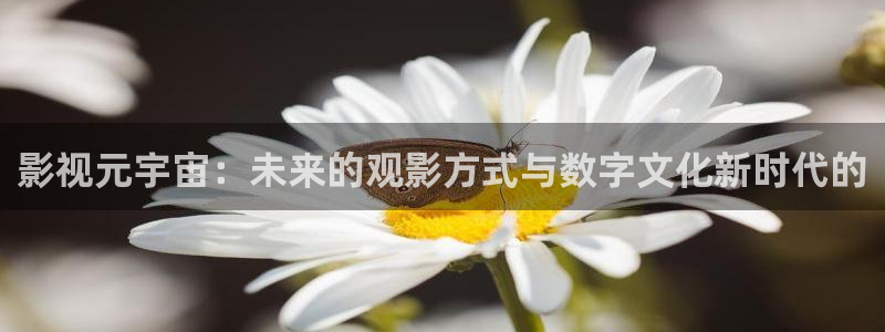 神秘电影国产影院：影视元宇宙：未来的观影方式与数字文化新时代的